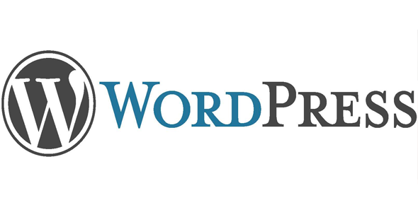 wordpress sajt